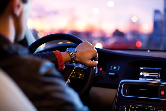 Fahrer am Steuer